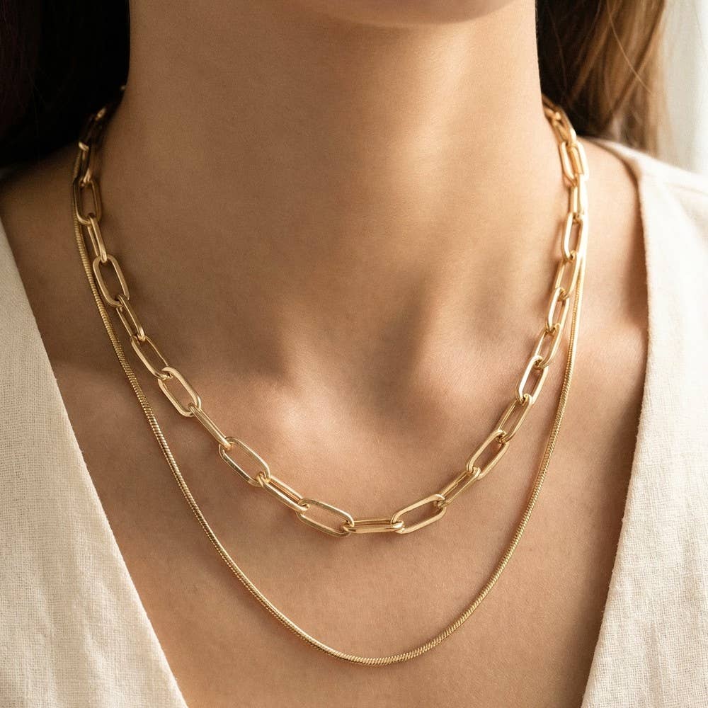 Double Chain Layered Necklace