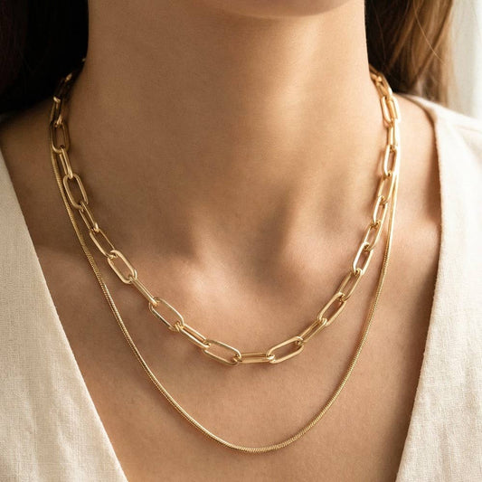 Double Chain Layered Necklace